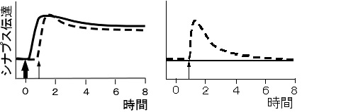 図2連合性後期可塑性.jpg