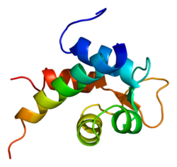 ファイル:Protein ACTN2 PDB 1h8b.png