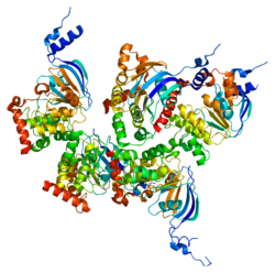 Protein CFTR PDB 1xmi.png