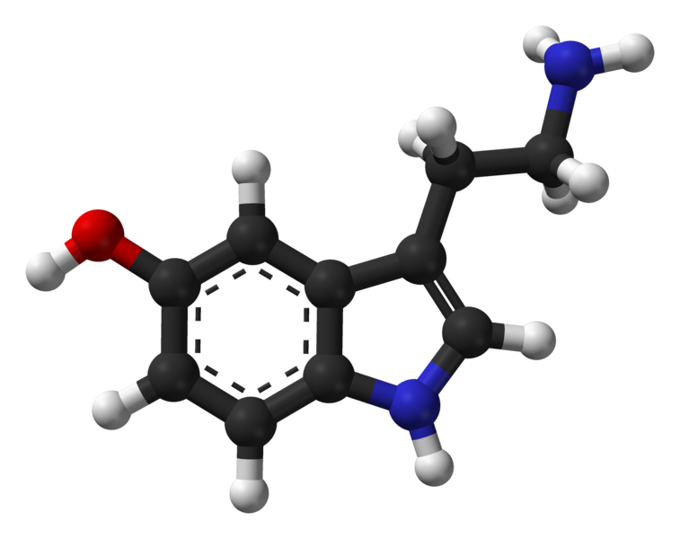 ファイル:Serotonin-Spartan-HF-based-on-xtal-3D-balls-web.png