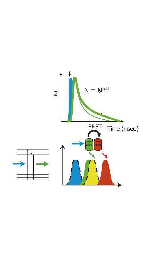 Fret Principle Svg