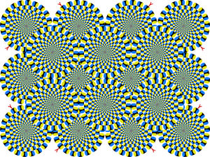 図1　静止画が動いて見える錯視の例。 「蛇の回転」