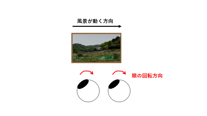 ファイル:Saito eye movement Fig2-2.gif