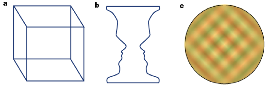 図1．NCC 研究に使われる多義図形の例 a.ネッカーの立方体 b.ルビンの壷 c.両眼視野闘争（(Blake & Logothetis, 2002)より改変）