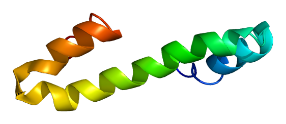 ファイル:Protein RTN4 PDB 2g31.png
