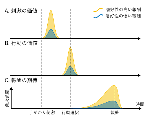 読書が脳にもたらす 3 つのメリットを発見する