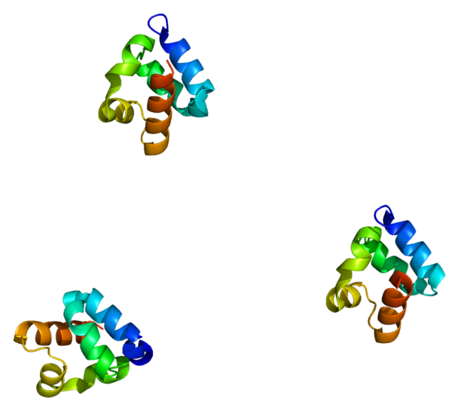 ファイル:Protein SHANK3 PDB 2f3n.png
