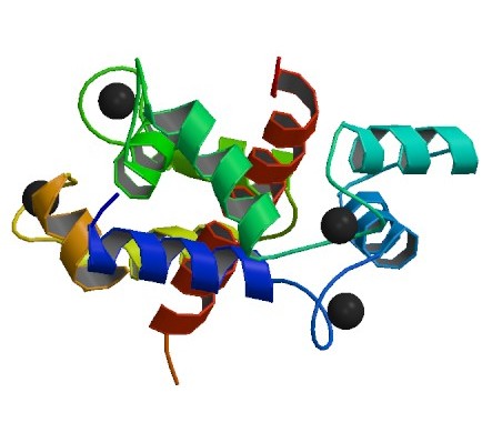 ファイル:PBB Protein RYR1 image.jpg