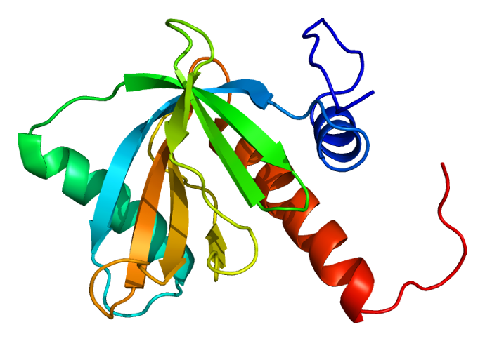ファイル:Protein NUMB PDB 1wj1.png