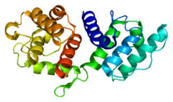 ファイル:Protein ACTN3 PDB 1tjt.png