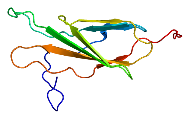 ファイル:Protein EPHA1 PDB 1x5a.png