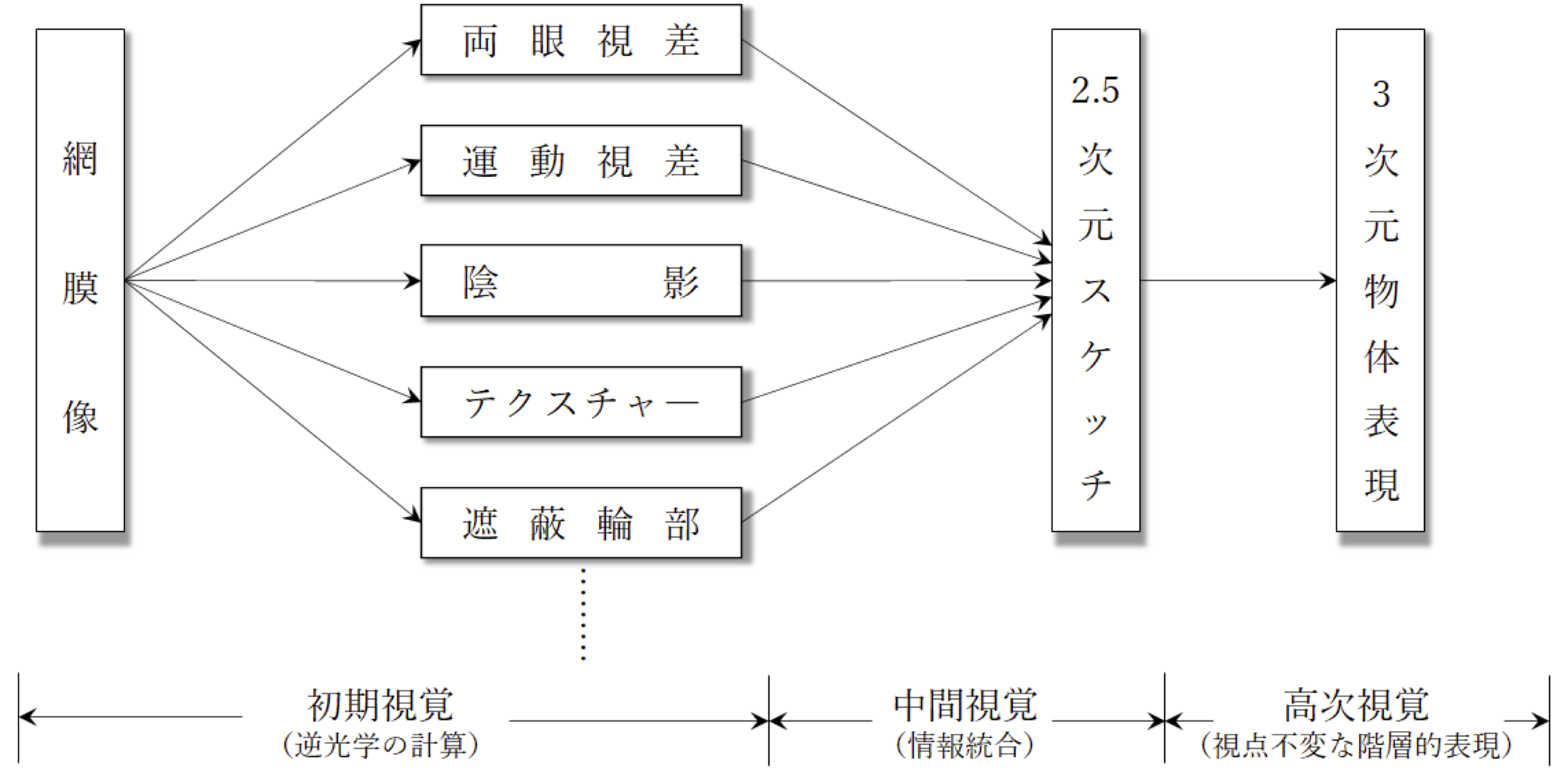 図. Marrの視覚情報処理過程の枠組み