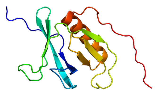 ファイル:Protein CADPS PDB 1wi1.png