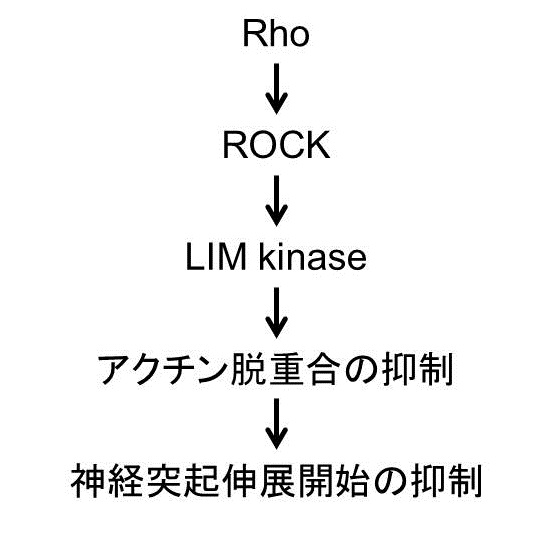 ファイル:Rock2.jpg