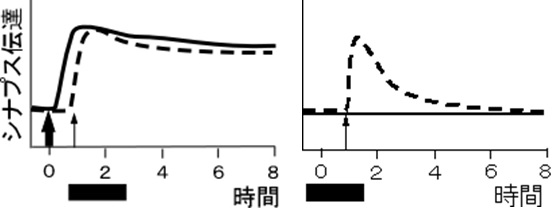 皮膚がんを広げるタンパク質が研究で判明