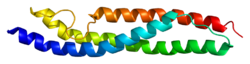 ファイル:Protein ACTN4 PDB 1wlx.png
