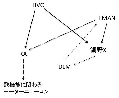 Sugiyama&Osumi fig 4.jpg