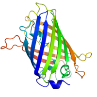 GFP structure.png