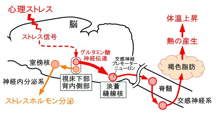 自殺率上昇を受け、日本が孤独大臣を任命