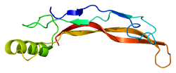 ファイル:Protein BMP4 PDB 1reu.pngのサムネイル