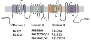 何が攻撃のきっかけとなるのでしょうか?
