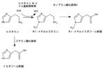 ファイル:Histamine metabolism.pngのサムネイル