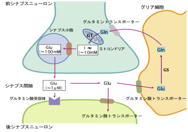 病気のイラスト: 統合失調症の青年が描く暗い現実