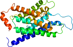 アクアポニックス: それは何か、そしてその目的 - アクアポニックスの利点と欠点