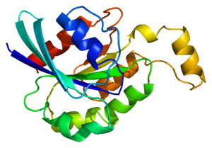 Protein RHOA PDB 1a2b.png