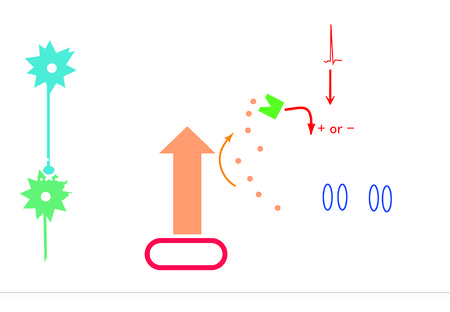 インドはさらに伝達性の高いデルタ・プラスのバリエーションを発表。理解する