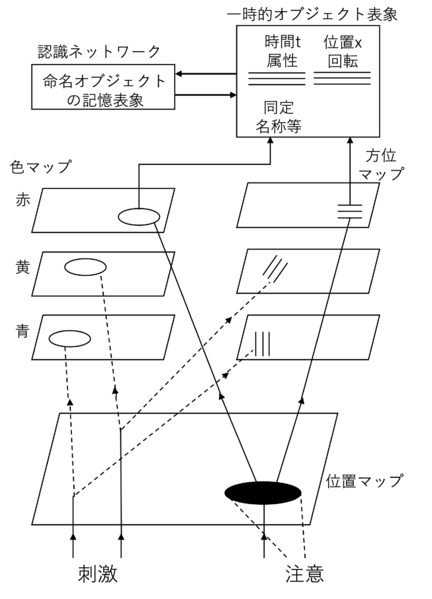 ファイル:横澤 注意のモデル Fig4.png