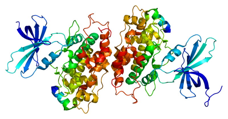 ファイル:Protein GSK3B PDB 1gng.png