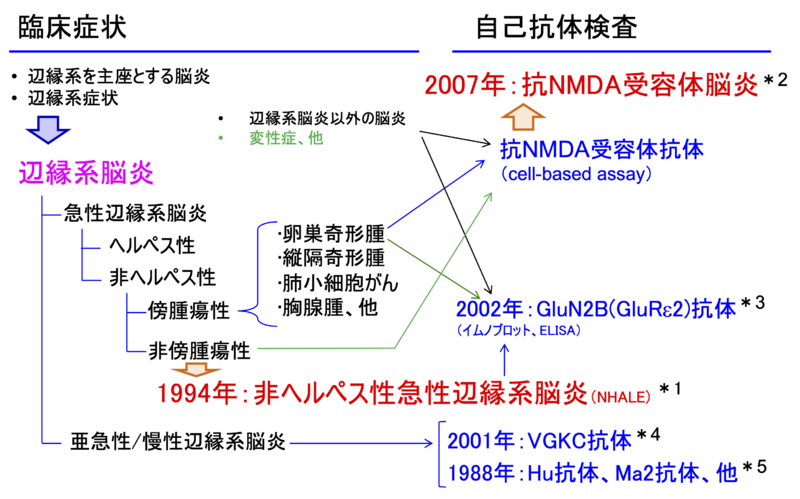 ファイル:Takahashi anti NMDAR encephalitis Fig1.png