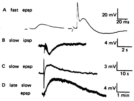 環境汚染物質の種類 - 環境汚染物質の種類 - 一次および二次