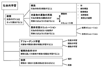 ミラーの学習効果の要因