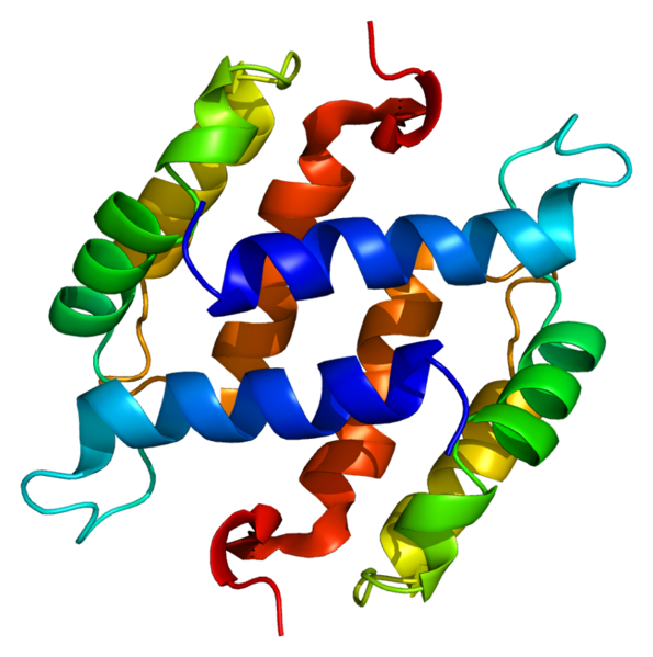 ファイル:Protein S100B PDB 1b4c.png