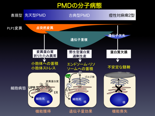 軽度から中等度の脱水症状であれば、自宅でのケアで数時間以内に水分を補給することが可能です。 脱水症状から水分補給するにはどのくらい時間がかかりますか?