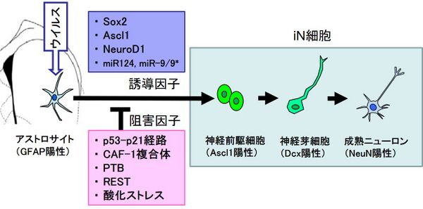 プラグド プログラミングとアンプラグド プログラミングとは何ですか?例を挙げてください。
