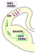 ファイル:Yukihirota fig １.jpgのサムネイル