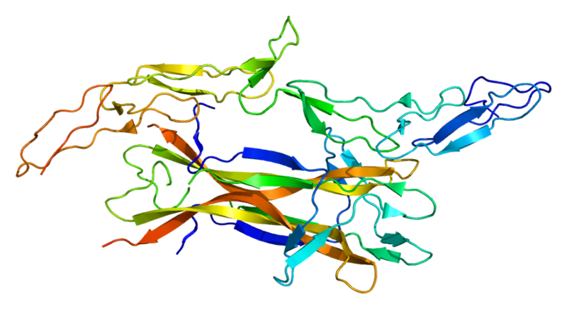 ファイル:Protein NGFR PDB 1sg1.png