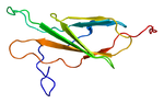 ファイル:Protein EPHA1 PDB 1x5a.pngのサムネイル