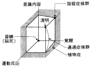 意識障害 - 脳科学辞典