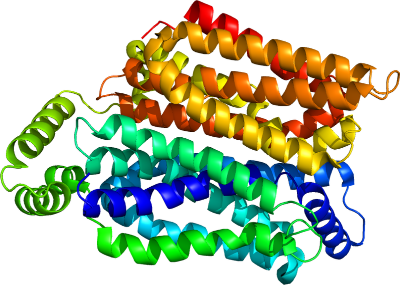 ファイル:6THA.pdb