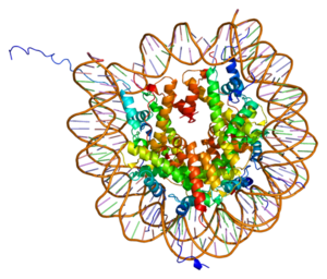 Protein H2AFJ PDB 1aoi.png