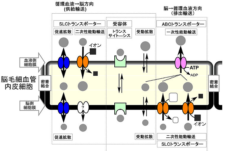 ファイル:Tachikawa fig 2.jpg