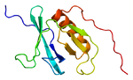 ファイル:Protein CADPS PDB 1wi1.pngのサムネイル