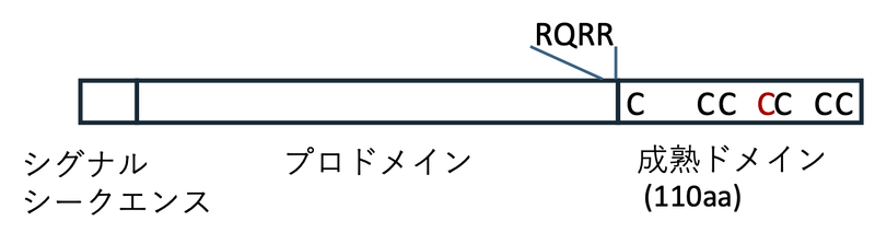 ファイル:Meno Nodal Fig1.png
