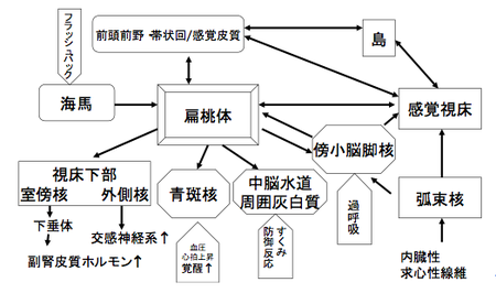 アンビバートとは、内向的と外向的の両方の性質を示す人のことです。 両向性のある人または内向的な人とは何ですか?