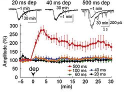 尿失禁は膀胱制御の喪失です。 膀胱制御障害を引き起こす神経疾患は何ですか?
