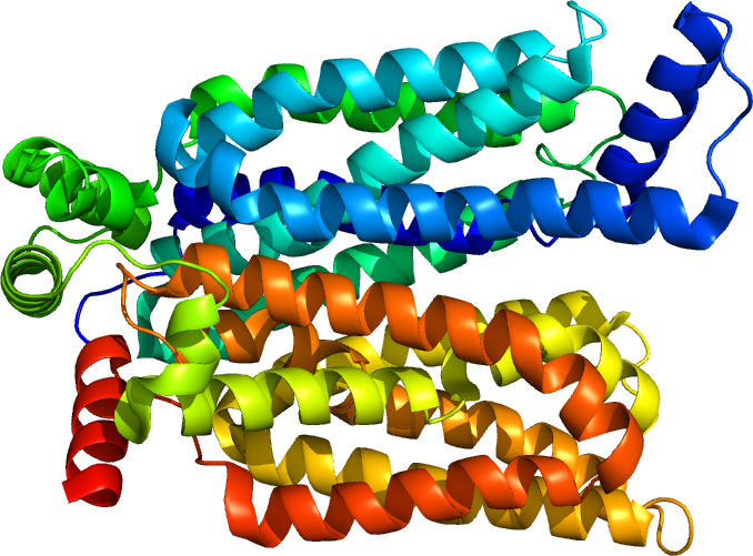 ファイル:4ZW9.pdb
